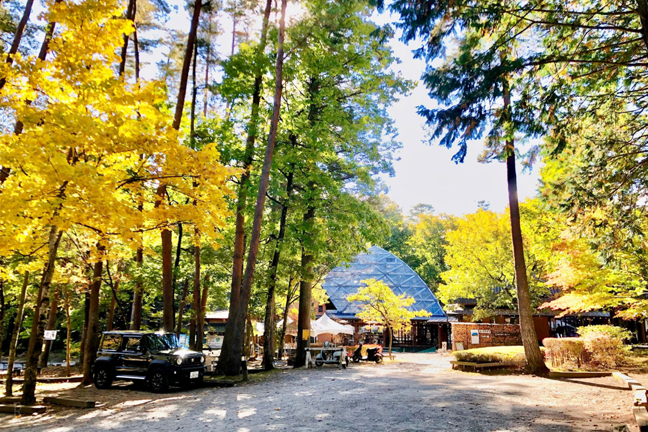 ドームテント室内